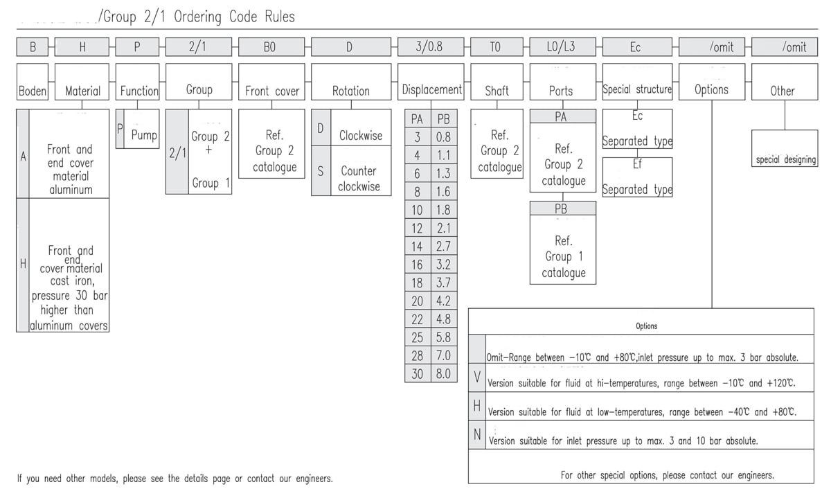 2/1 Tandem Gear Pump Ordering Code Rules