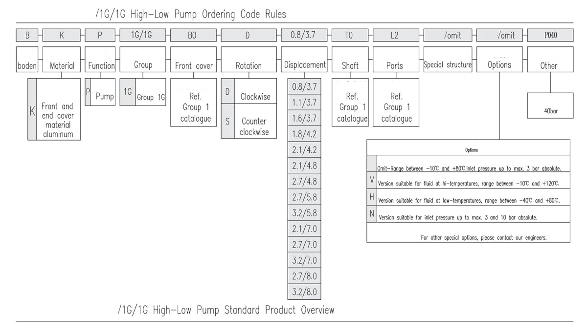 1G/1G High-Low Pump Ordering Code Rules